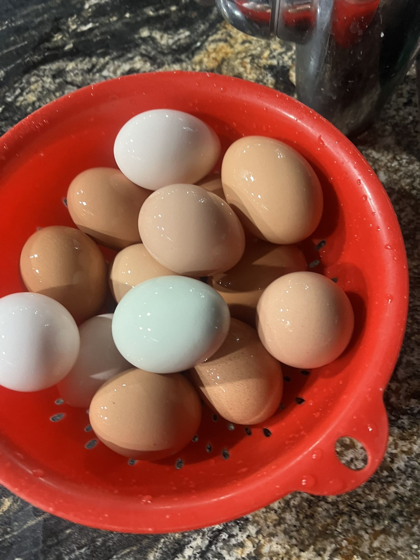 Fresh Organic Eggs