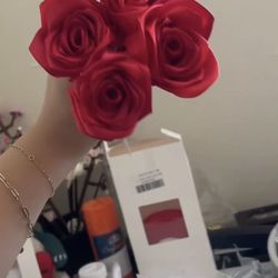Ribbon Roses 