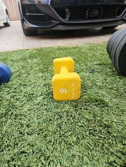 Reebok 10lb Dumbell