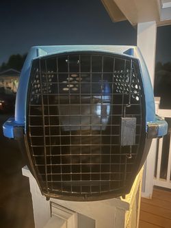 Large Pet Carrier – $20