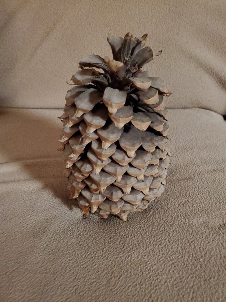 Pine Cone 8"x5"