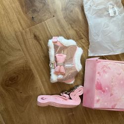 X Small Dog/Cat Harness And Leash