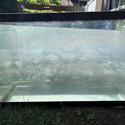 20 Gallon Fish tank, No Lid