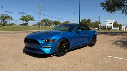 2019 Ford Mustang