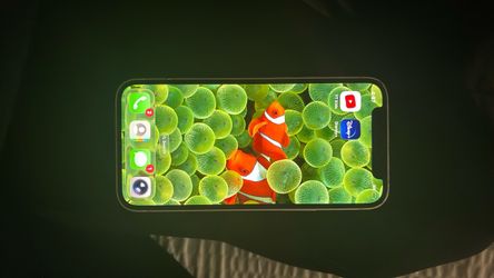 iPhone 12 mini