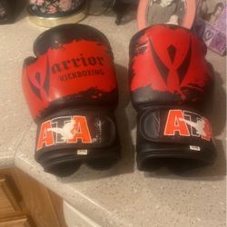 12 0z Boxing Gloves