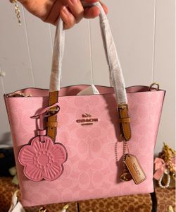 Cartera ✨