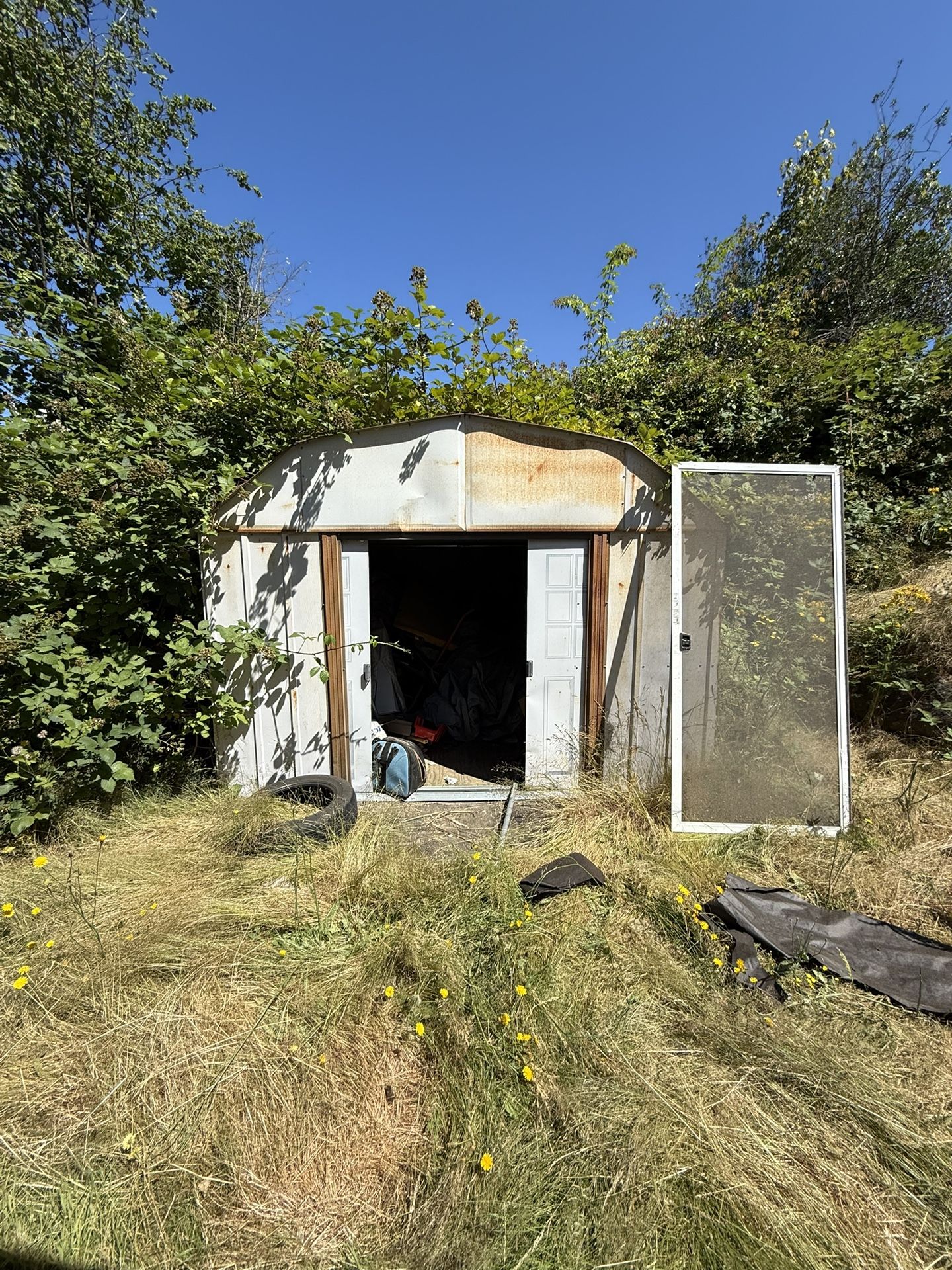 Shed