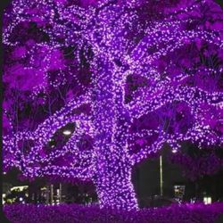 New Purple LED Lights 