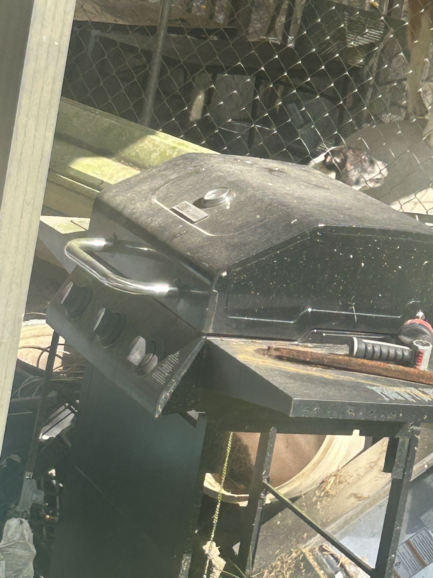 Needs A Good Warming Off, But Like New Only Used Once