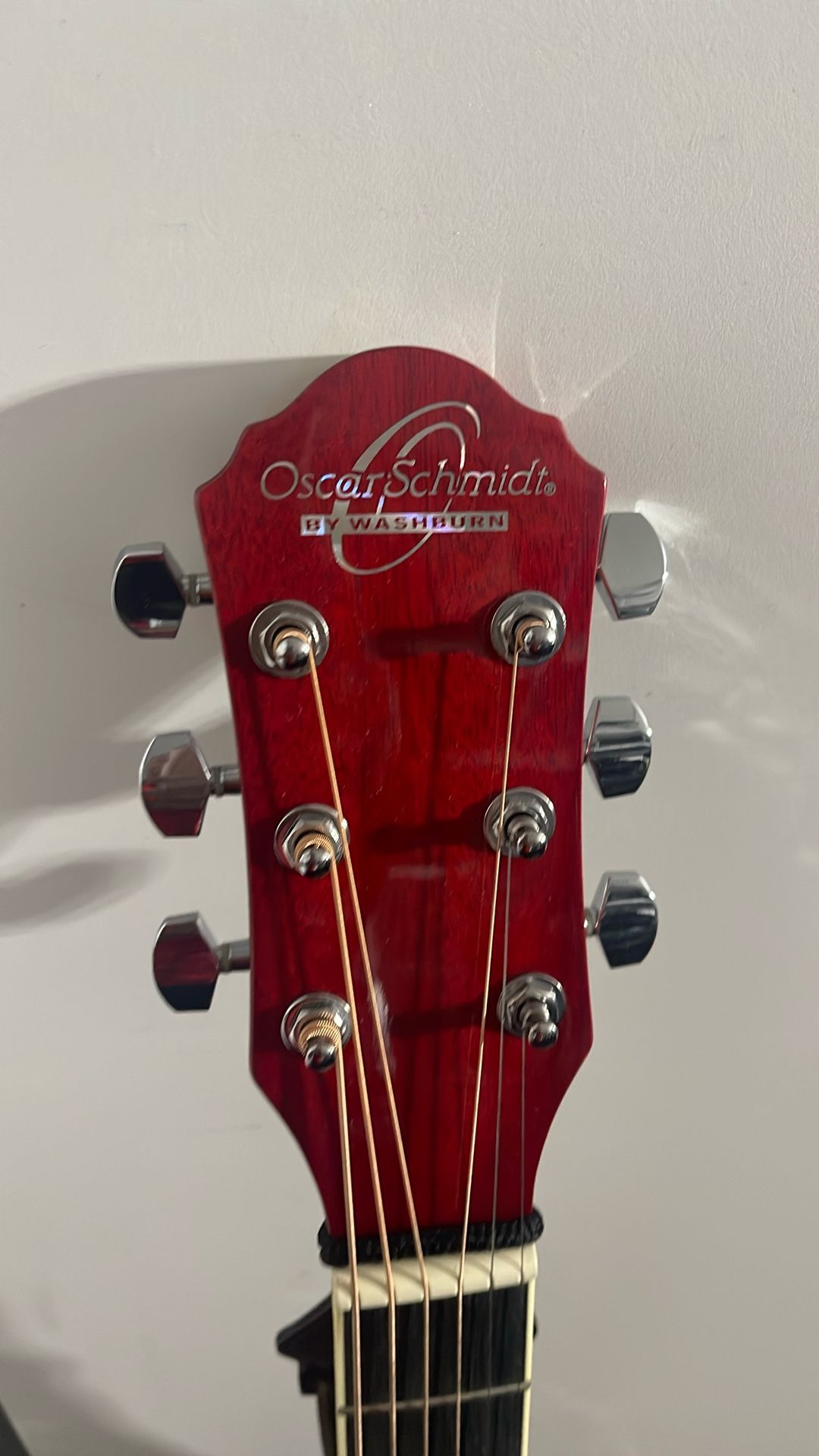 Guitar And Bag