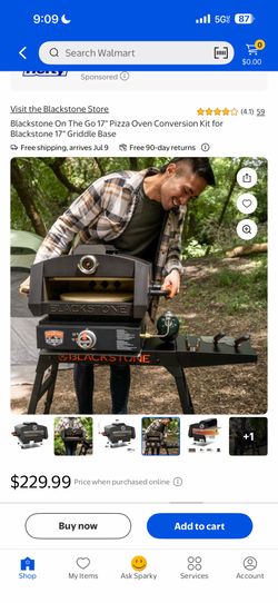 Grill with pizza oven