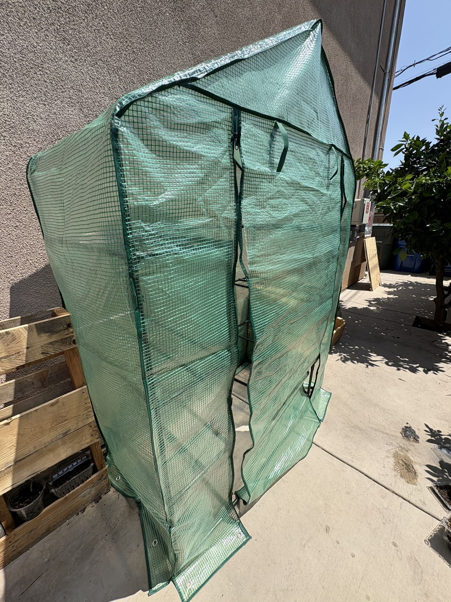 Greenhouse