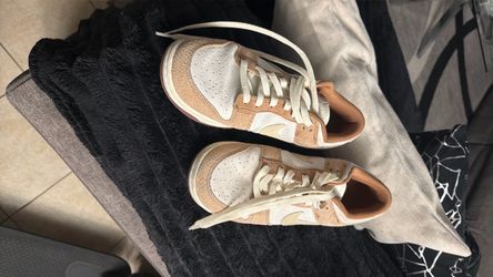 Nike Dunks size 9.5
