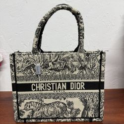 mini dior bag 