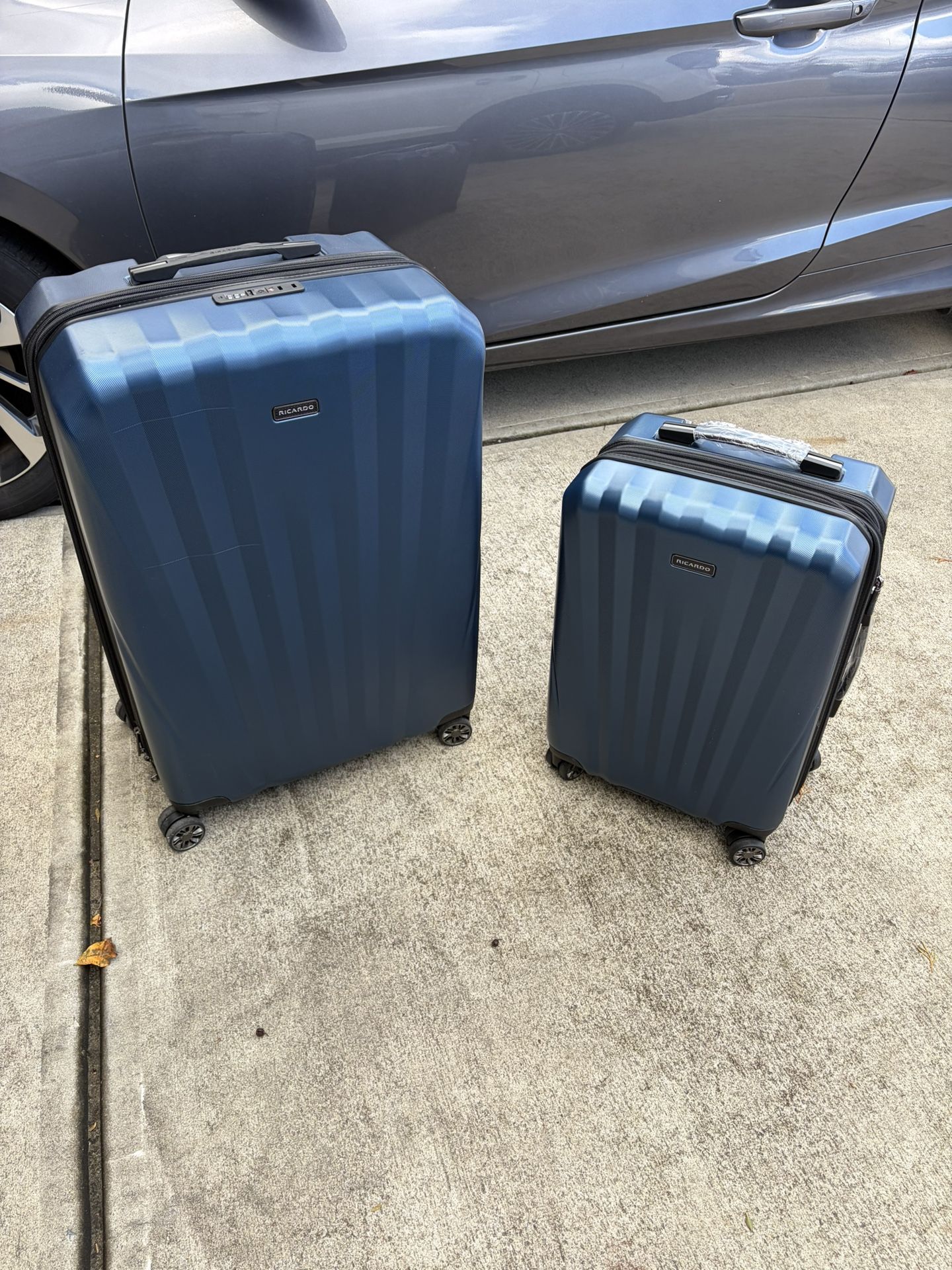 Ricardo Beverly Hills Windsor 2-Piece Luggage Set