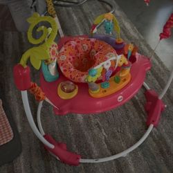Fisher-Price Colorful Baby Activity Jumper