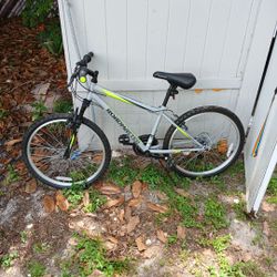 Road master Bike