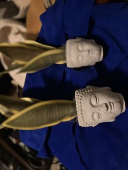 Solid Stone Head Set 2x