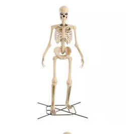 12ft Skeleton w/Lighting