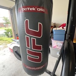 UFC Punching Bag + Everlast Heavy & Speed Bag Stand