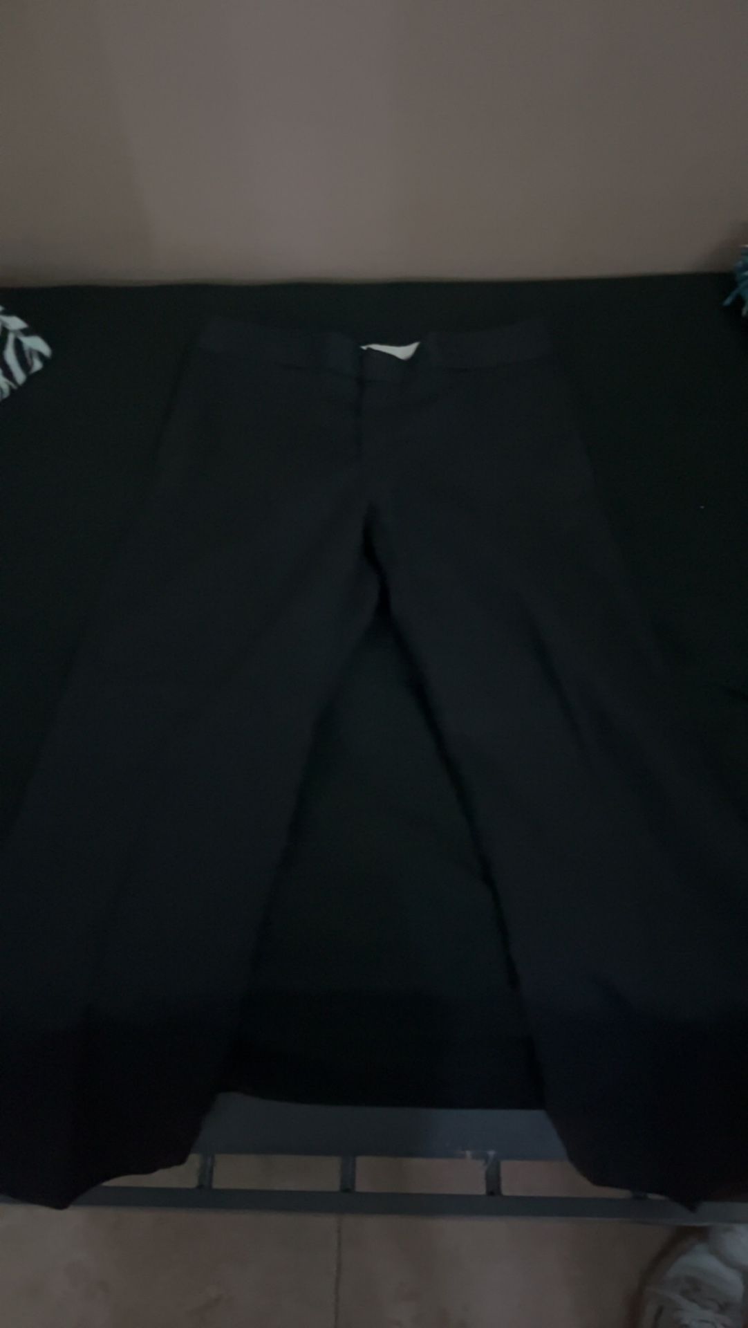 Dickies Flex Pants