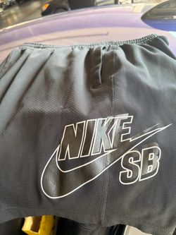 Nike SB shorts