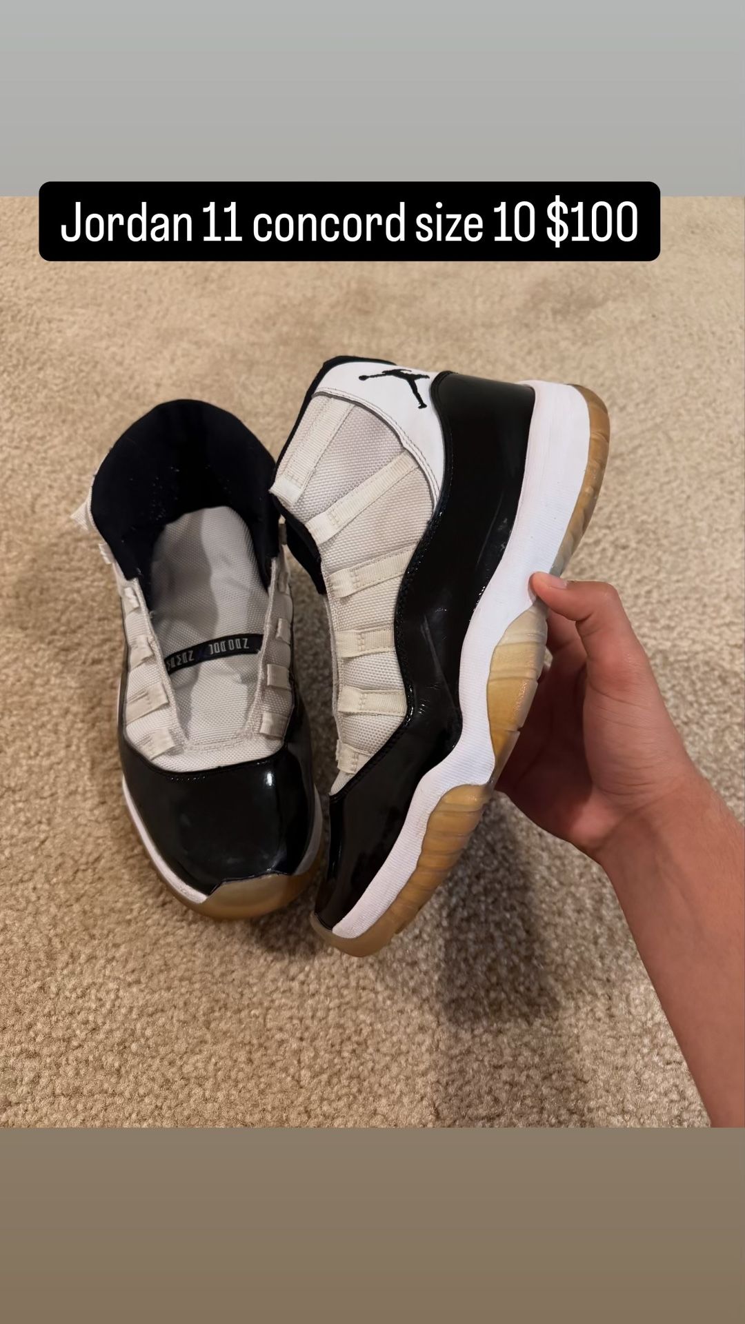 Jordan 11 Concord