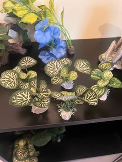 Artificial Tank Plant Decorations Set