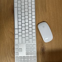 Apple Keyboard and mouse (pair)