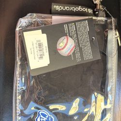 Los Angeles Dodgers 2025 World Series Champions Clear Wristlet