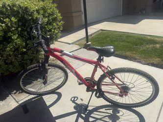 Schwinn Bicycle
