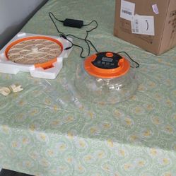 egg Incubator 
