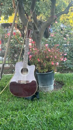 De Rosa Acoustic 12 string guitar