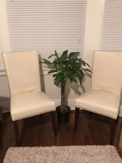 Safavieh leather chairs