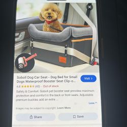 Dog Car Seat