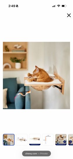 Brand new never opened wall mount acrylic bowl shelf