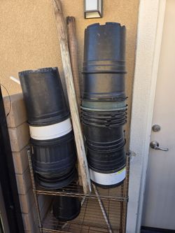 Free plant pots