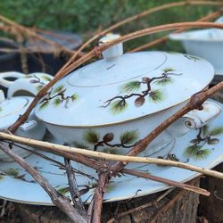 Narumi Shasta Pine China Set – 82 pcs w/ Covered Dish, Gravy Boat & Platters – $350 OBO