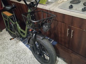 Fiido t1 pro cargo bike