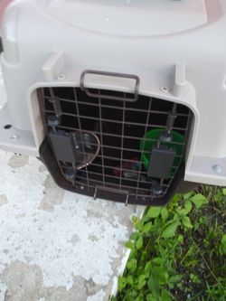 Small dog Carrier