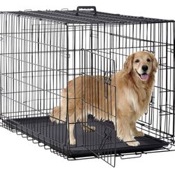 Dog kennel  A Large Kennel