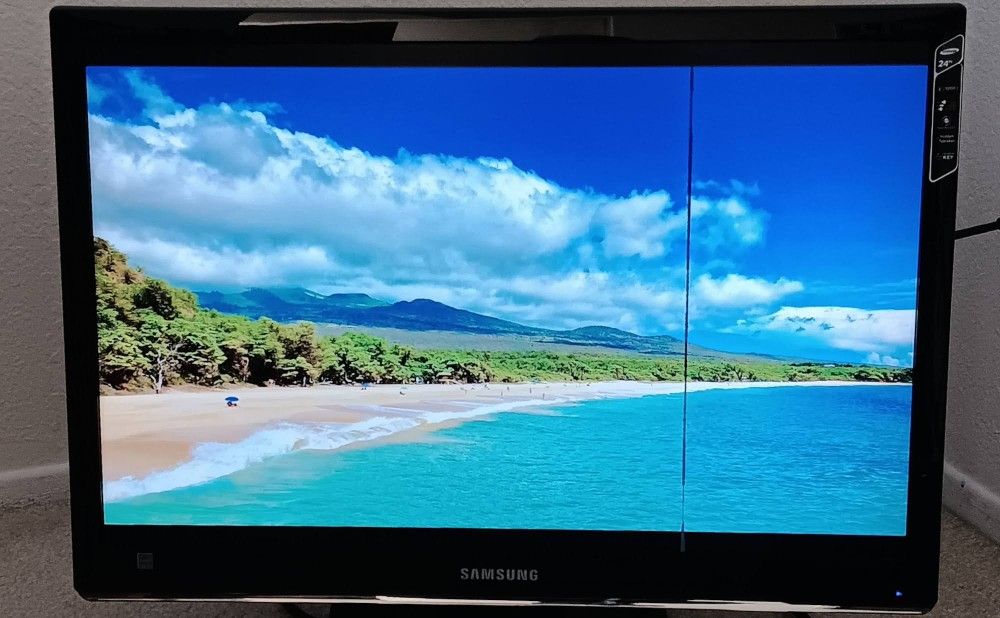 Samsung 24" Monitor