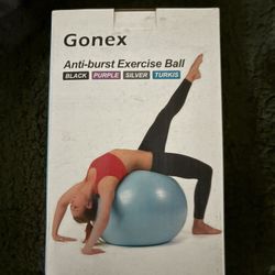 Exercise Ball 