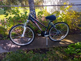 Schwinn bike