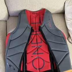 Vest