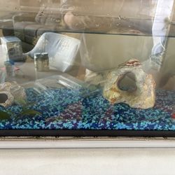 Fish Tank And Accessories 