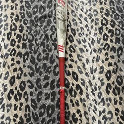 Marruci Cat 8 Connect -3