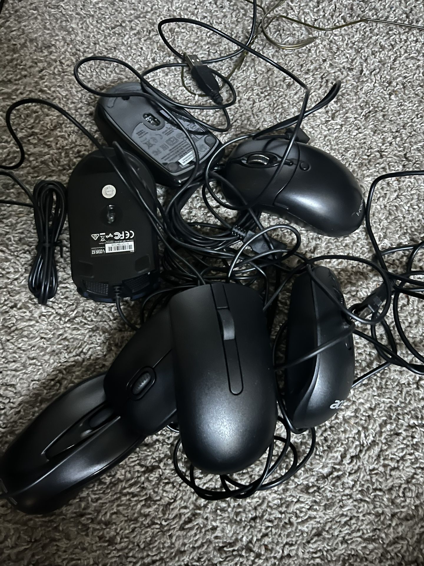 Computer Mouse’s