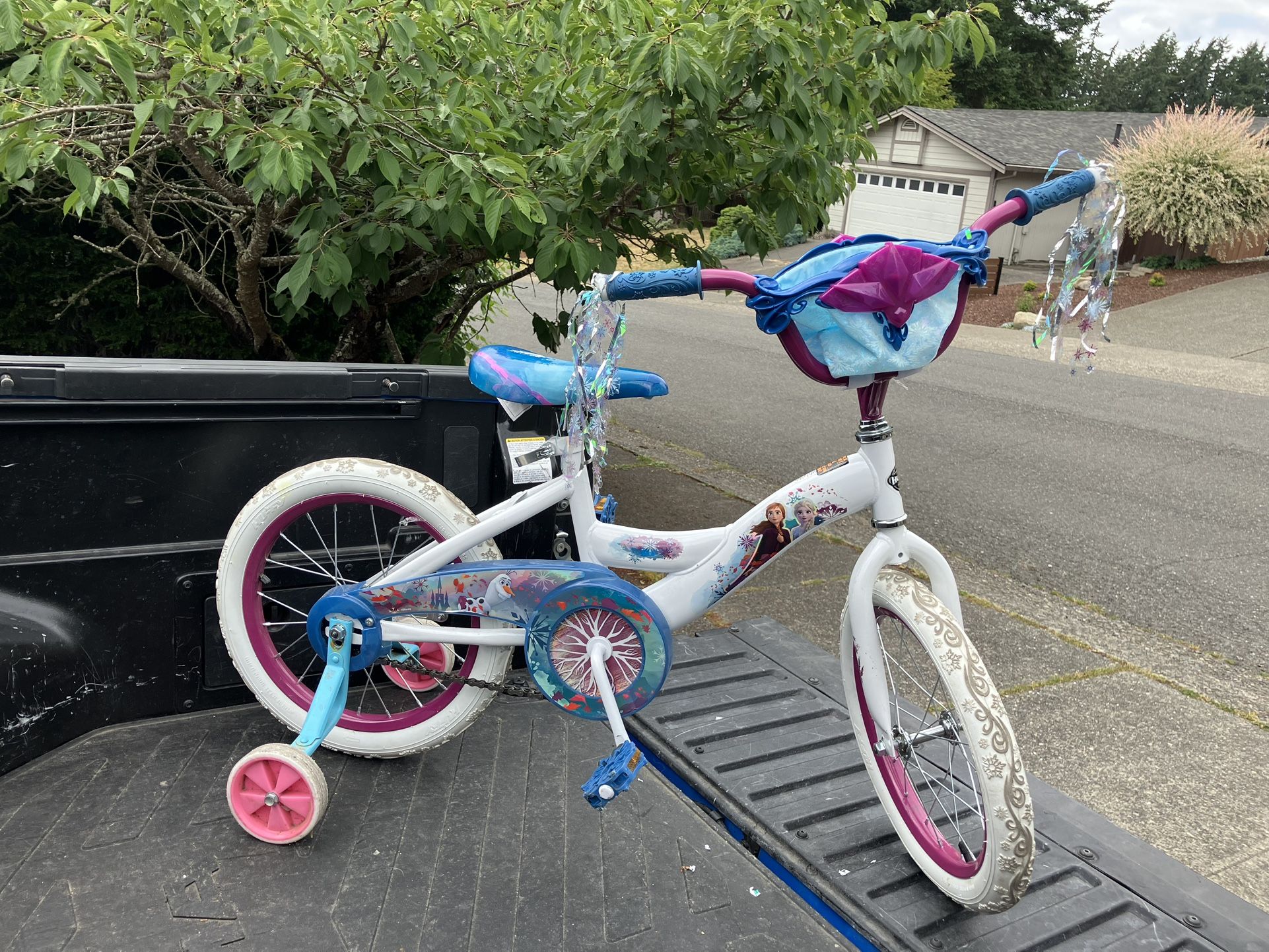 Child Children Kid Disney Frozen Elsa Bicycle Bike Trike 16” Wheels with Training Wheels Like New
